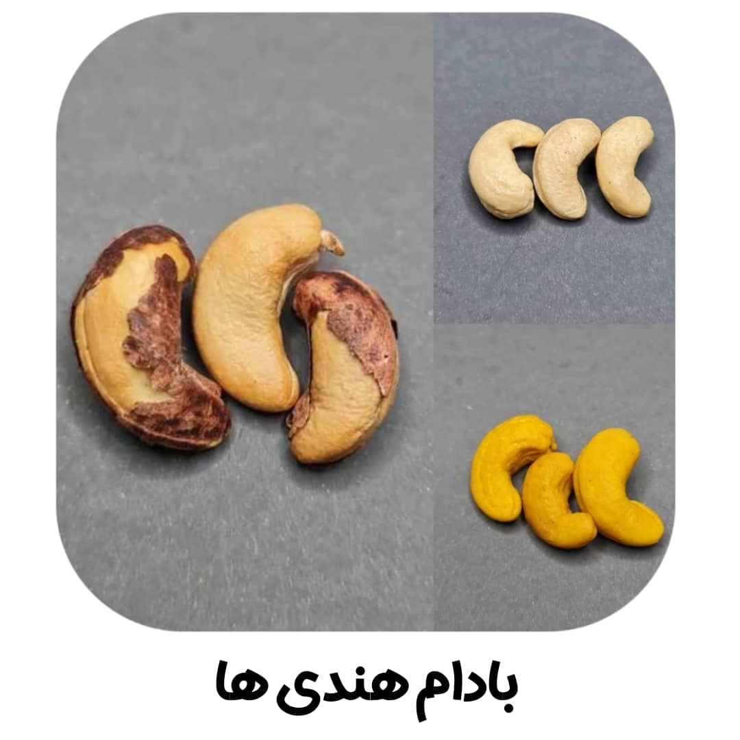 بادام هندی ها