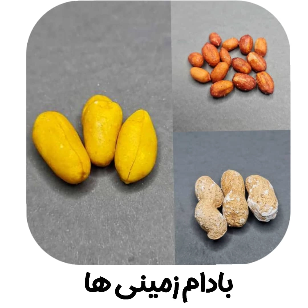 بادام زمینی ها