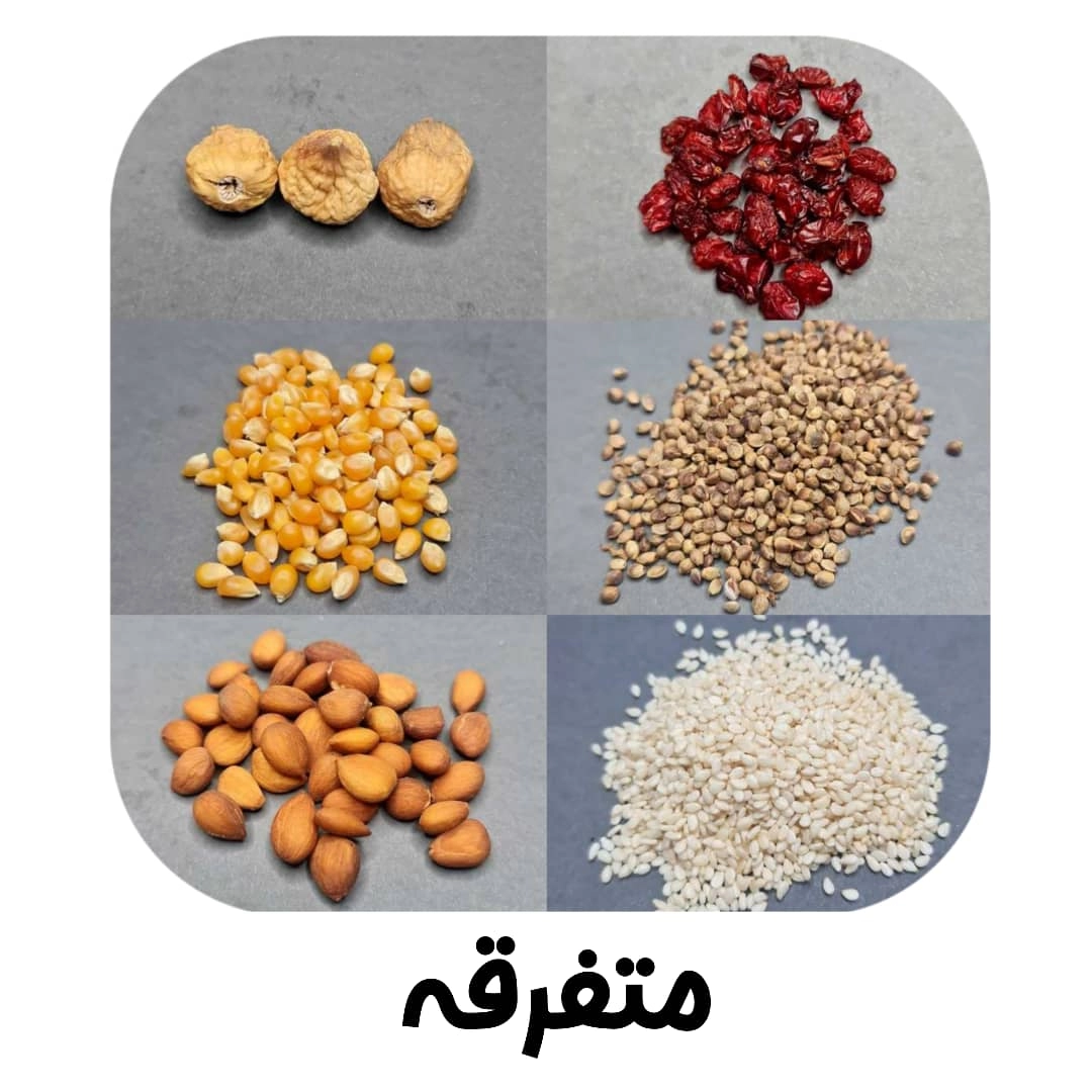 متفرقه ها