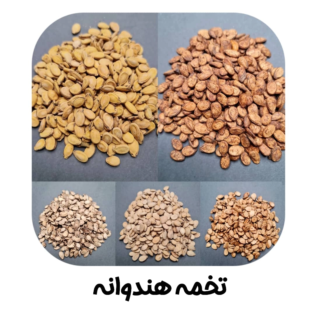 تخمه هندوانه