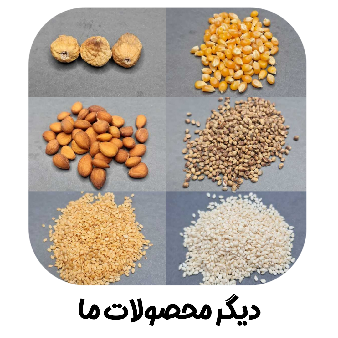 دیگر محصولات ما