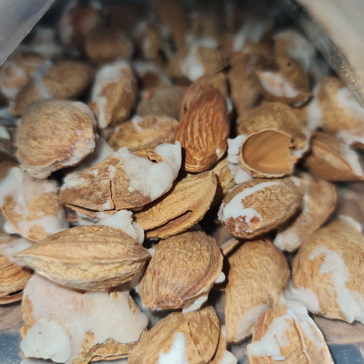 بادام درختی تک پوست نمکی