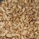 کدو دو آتیشه