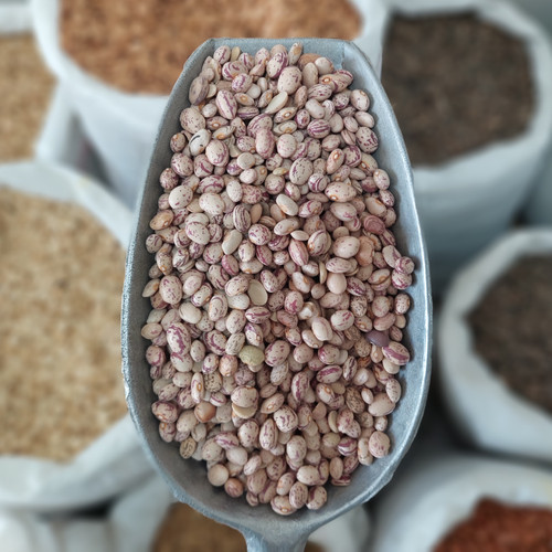 لوبیا چیتی